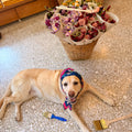 Frida's Smart Sola Bouquet Lilac