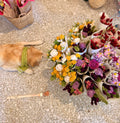 Frida's Smart Sola Bouquet Burgundy