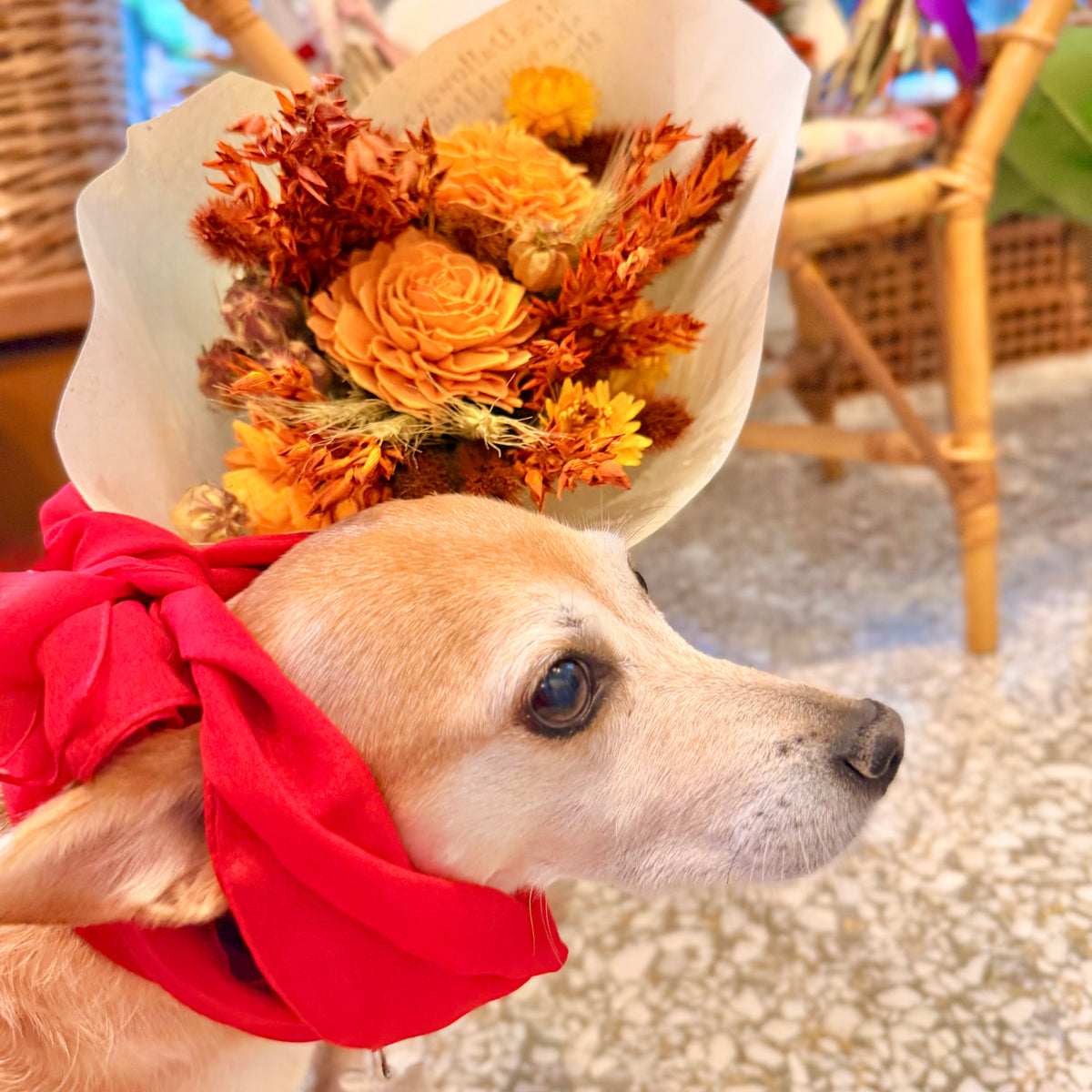 Florence Bouquet