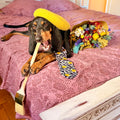 The Vermeer's Bouquet