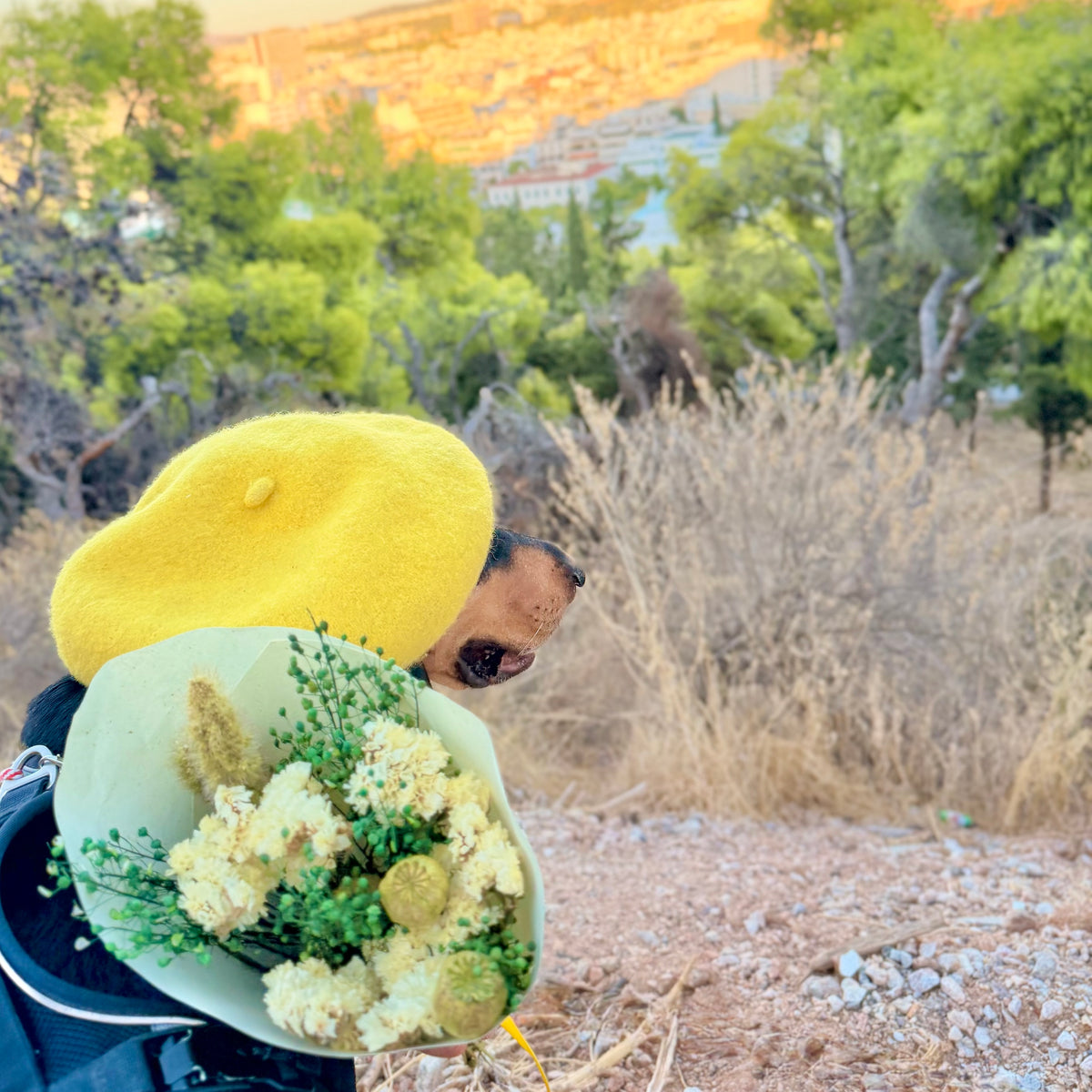 The Sunshade Bouquet
