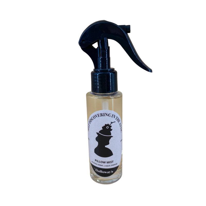 Self-Discovering in The Attic