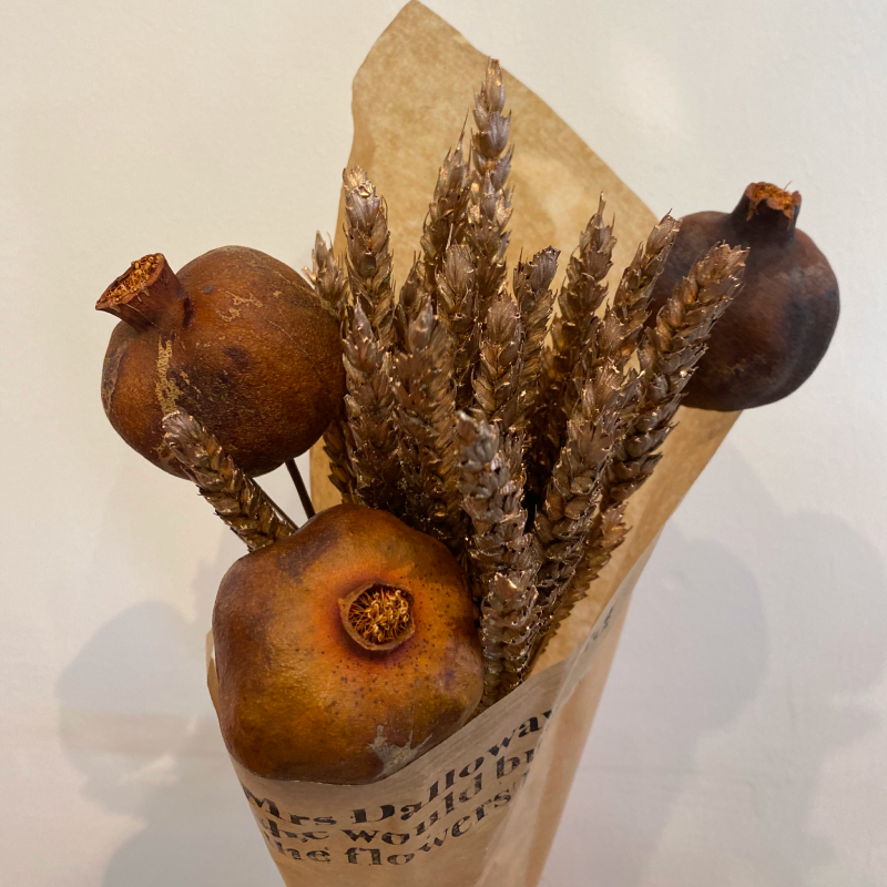 Dried Pomegranate on Stem