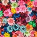 Rainbow Bouquet